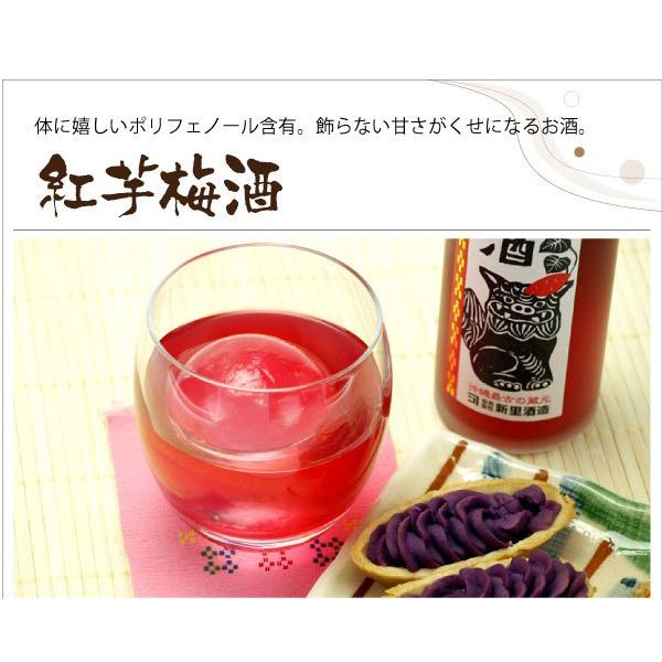 のり様 泡盛、梅酒ほか 琉球泡盛梅酒 壱 -ICHI- | おいしく食べて和歌山モール