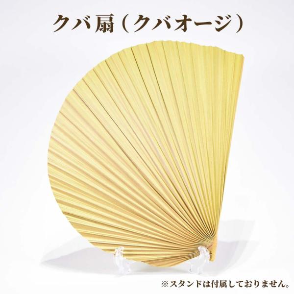 商品名：くば扇 大素材：クバ重量：約33gサイズ：[縦：約26cm 横：約35cm]販売元：琉球ガラス専門店くば笠屋（クバガサヤ/くばがさや）