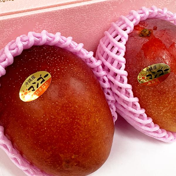 マンゴー 沖縄 お土産 果物 フルーツ 沖縄県産 完熟 アップル