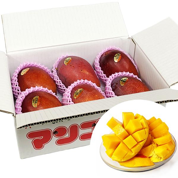 訳あり マンゴー 沖縄 お土産 果物 フルーツ 自分用 沖縄県産 完熟