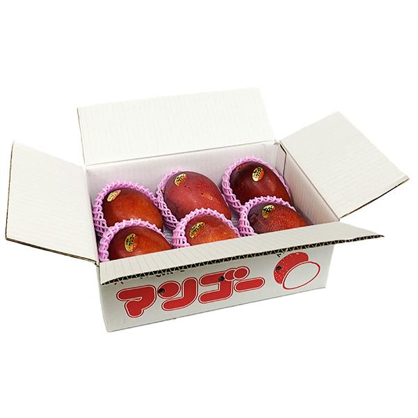 訳あり 沖縄県産 完熟マンゴー