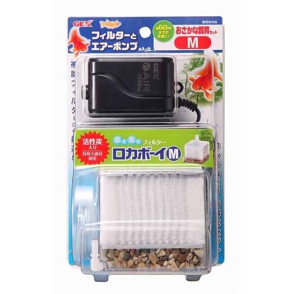 まとめ）おさかな飼育セットM〔×5セット〕 : 龍口農園