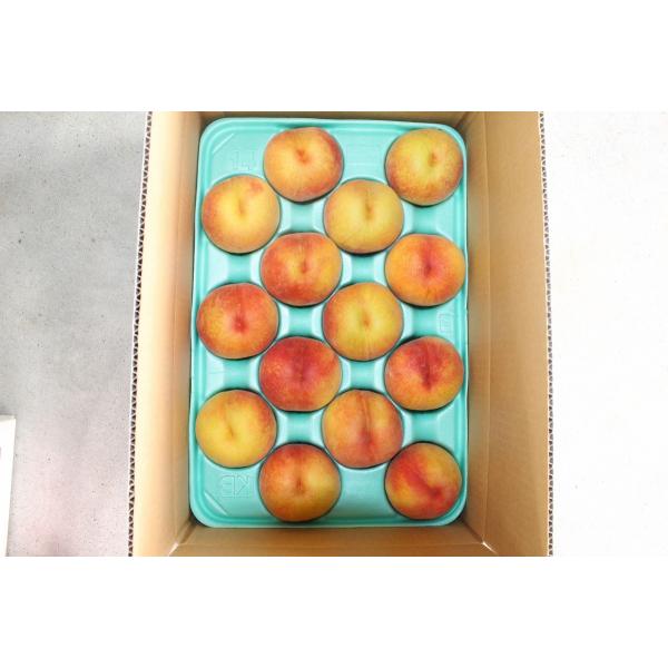 [Release date: August 15, 2025]品種　黄金桃等級　秀入数　14個発送　ヤマト運輸常温発送桃は非常に傷みやすく少しの衝撃で2日ほどで傷みます 細心の注意と養生を行いますが万が一痛みの多い場合は一報いただければと思...
