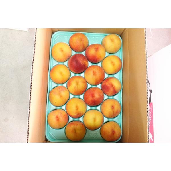 [Release date: August 15, 2025]品種　黄金桃等級　秀入数　18個発送　ヤマト運輸常温発送桃は非常に傷みやすく少しの衝撃で2日ほどで傷みます 細心の注意と養生を行いますが万が一痛みの多い場合は一報いただければと思...