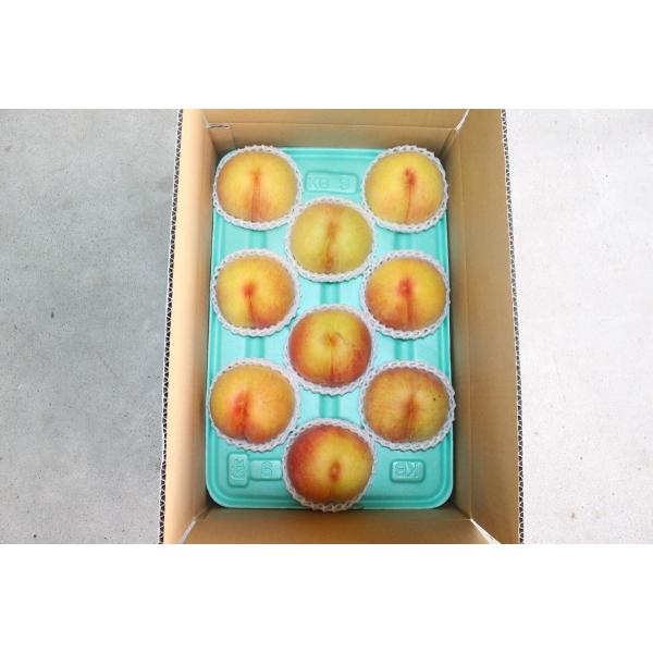 黄金桃１５　３箱 kodawari-yamagata_602