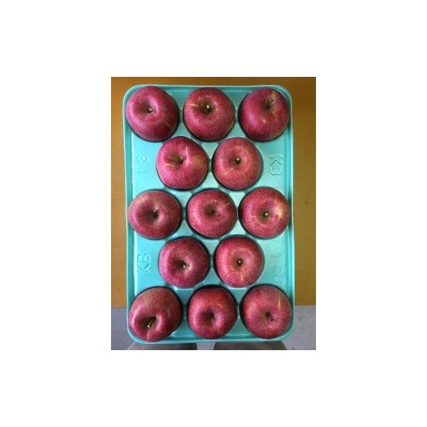 予約品2026年10月下旬〜発送分　早生ふじ贈答用10kg26玉（13×2）3Lサイズ