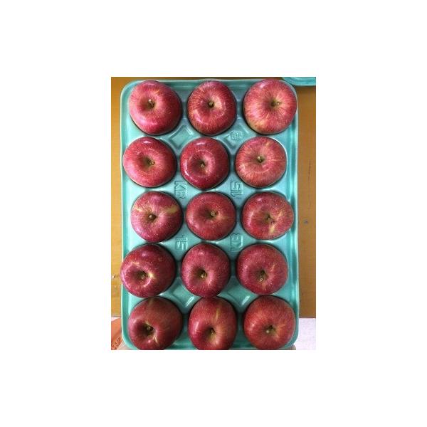 予約品2026年10月下旬〜発送分　早生ふじ贈答用10kg30玉（15×2）Lサイズ