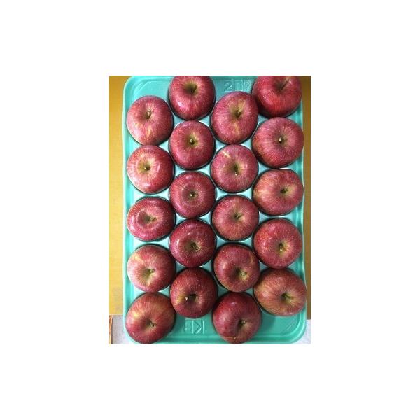 予約品2026年10月下旬〜発送分　早生ふじ贈答用10kg40玉（20×2）Sサイズ