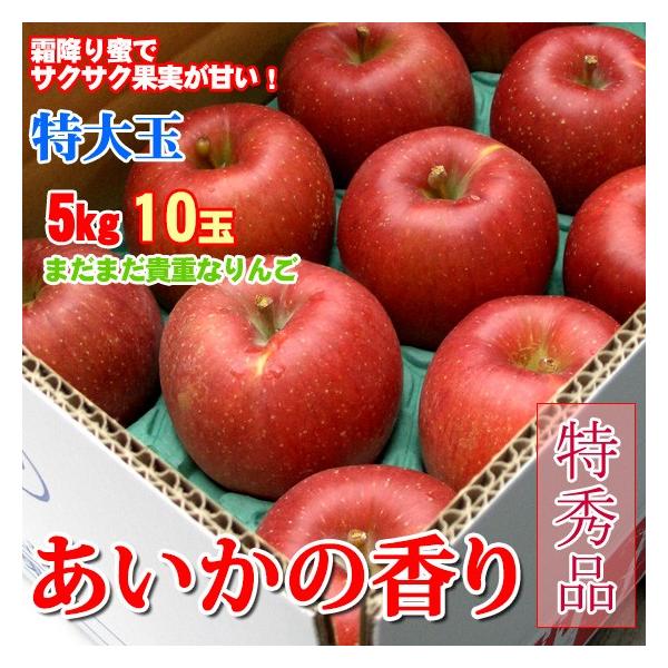 ̍ 쌧Y 5kg 10  G  Ε Mtg