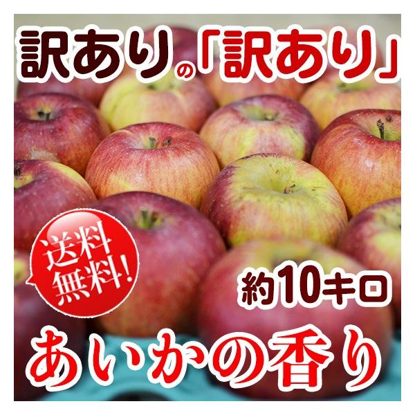 ̍ 10kg [] 󂠂́u󂠂v LY傫ߑ I