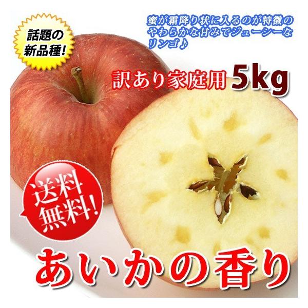 ̍ 󂠂 S  쌧Y 5kg ƒp