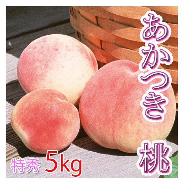 あかつき 桃 特秀 中玉 5キロ 13〜16玉 白鳳×白桃の品種 もも