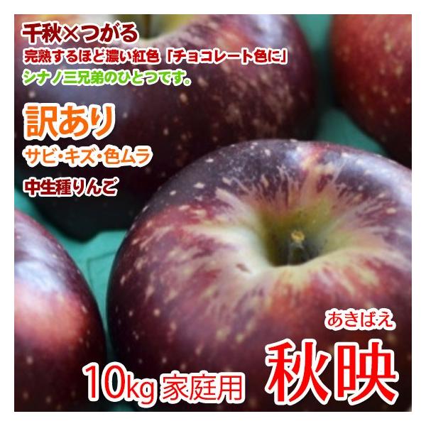 Hf  MBY 10kg  󂠃  ՂHf