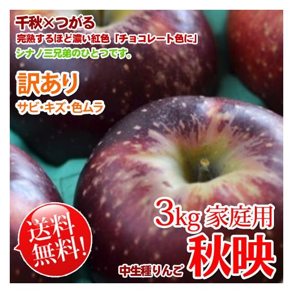 秋映 りんご 訳あり 送料無料 約3kg ご家庭用