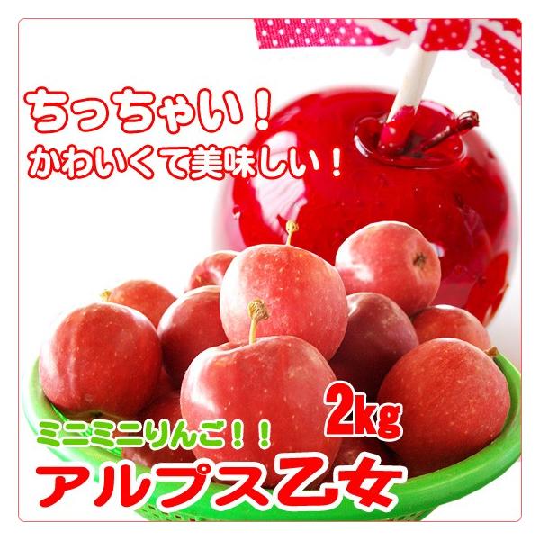 アルプス乙女 ちっちゃいりんご 2kg : くだもの屋 - 通販 アルプス乙女 ちっちゃいりんご 2kg : くだもの屋 - 通販