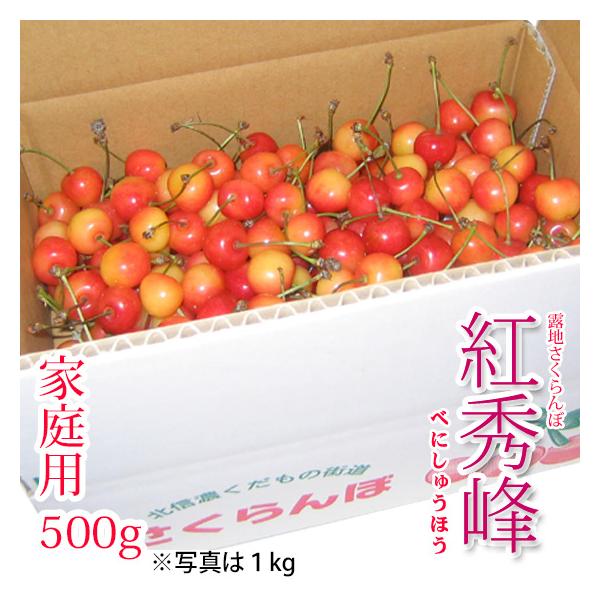 紅秀峰 訳あり 500g バラ詰 人気急上昇さくらんぼ 佐藤錦より大粒でよりしっかりした果肉 日持ちもいい