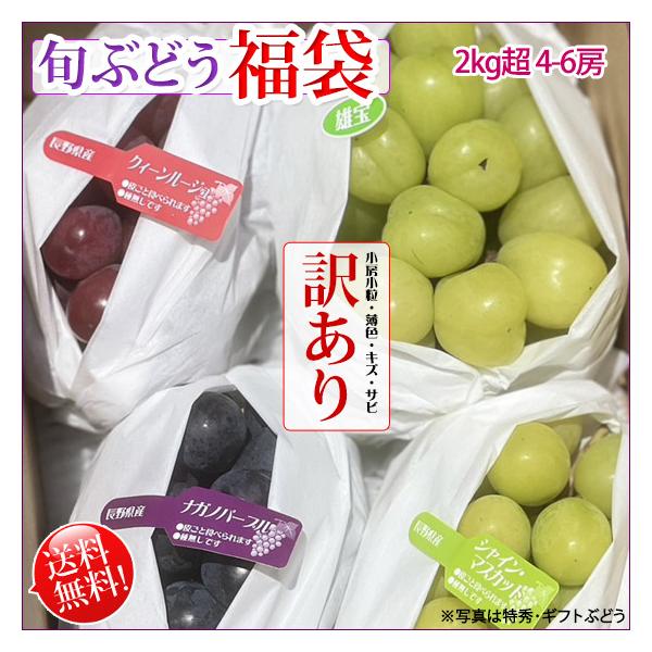 旬ぶどう-福袋訳あり- 2kgセット 送料無料