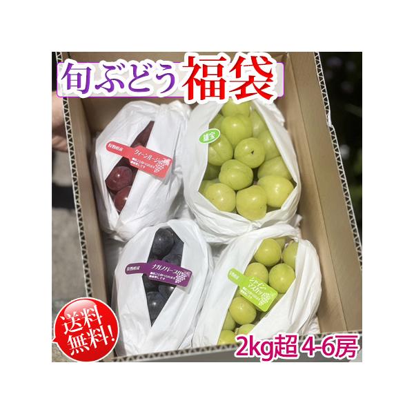 旬ぶどう-福袋2kgセット ギフト 詰め合わせ 特秀 ギフト 贈り物