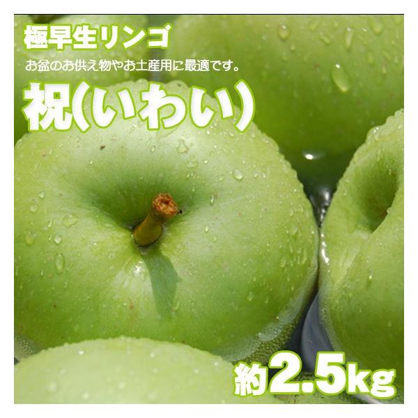 祝(いわい) 極早生青りんご 約2.5kg 12玉前後