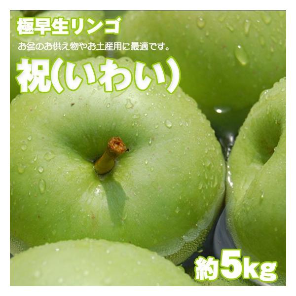 祝(いわい) 極早生 青りんご 約5kg 懐かしいリンゴ : くだもの屋