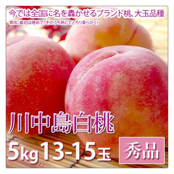 �쒆������ �� ������ �t���[�c �G�i 5kg 13-15�ʓ���