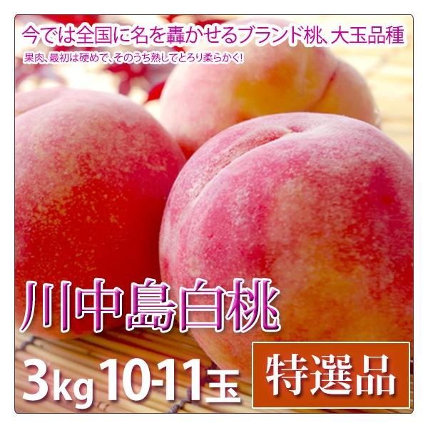�쒆������ �� ������ �t���[�c ���I�i 3kg 10-11�ʓ���