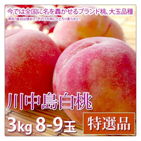 �쒆������ �� ������ �t���[�c ���I�i 3kg 8-9�ʓ���