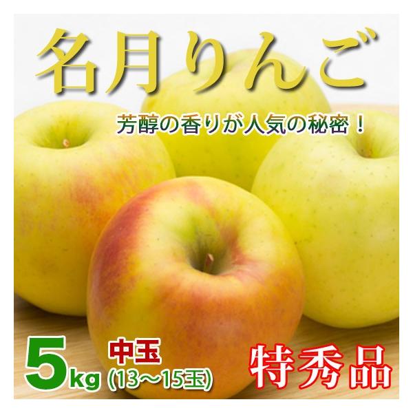 [|Cg5{]  Ε Mtg 쌧Y 5kg G 13-15 