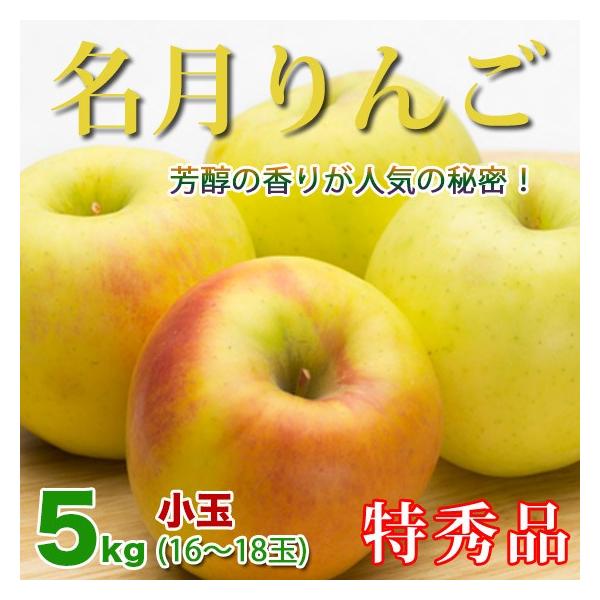 [|Cg5{]  Ε Mtg 쌧Y 5kgG16-18 