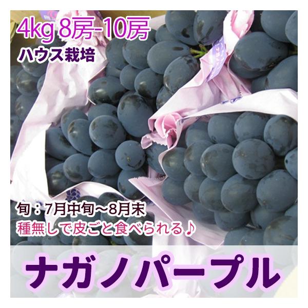 ナガノパープル　ハウス栽培　大粒　4kg 農家直送 ぶどう ナガノパープル (ハウス) 特選品4kg 送料無料 : くだもの屋