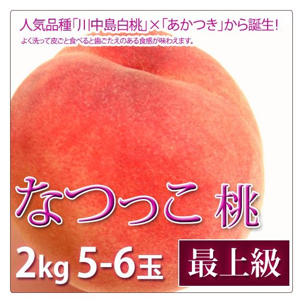 �Ȃ���  �� ������ �t���[�c �ŏ㋉ 2kg 5-6�ʓ���