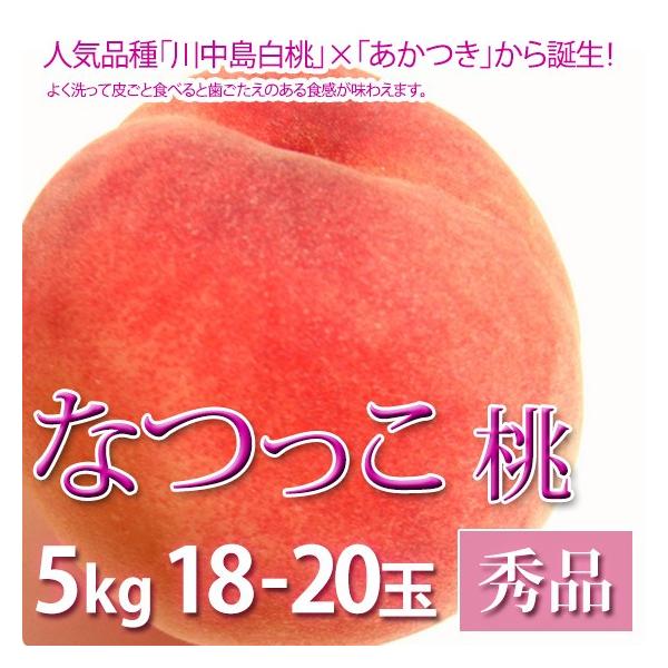 �Ȃ���  �� ������ �t���[�c �G�i 5kg 18-20�ʓ���