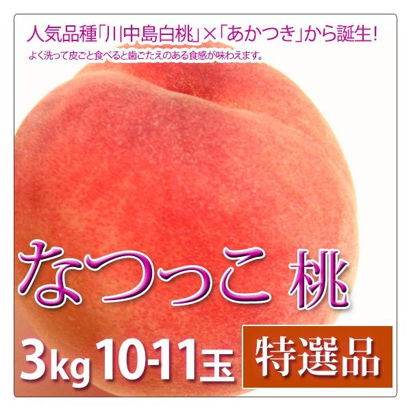 �Ȃ���  �� ������ �t���[�c ���I�i 3kg 10-11�ʓ���