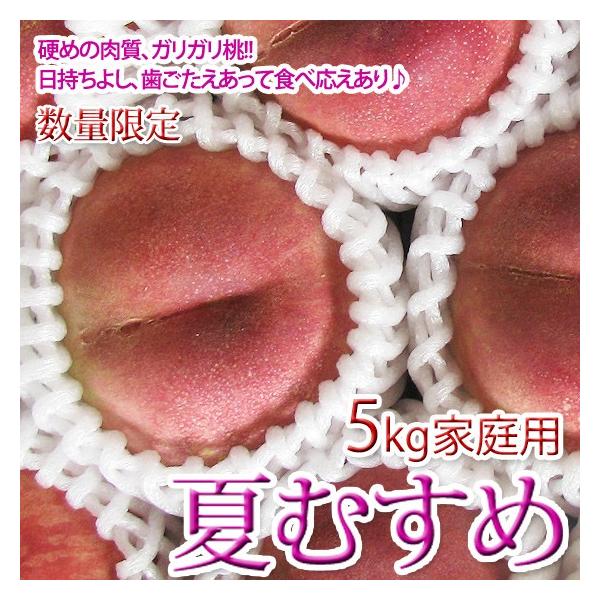 硬い桃5キロ 硬い桃】「おどろき」5kg | 果物/もも 産直アウル 農家から直接