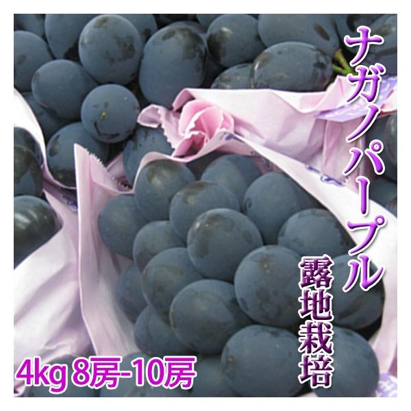 ナガノパープル 4kg 6 10房 特秀 種がなく皮ごと食べられるぶどうです 送料無料 Buyee Buyee 日本の通販 商品 オークションの代理入札 代理購入