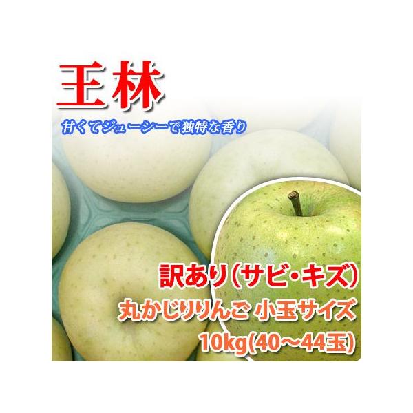 т MBY 10kg ܂邩  ʃTCY 󂠂-