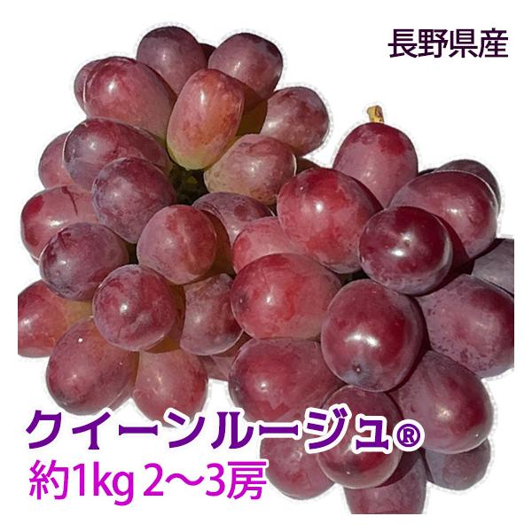 クイーンルージュ(R) 約1kg 2〜3房 特秀 2021年から流通の新品種
