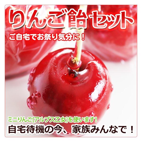 りんご飴セット アルプス乙女を使って作ってみてください