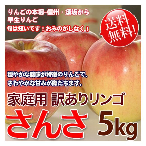 さんさ 5kg 送料無料 長野県産 訳あり 夏 りんご