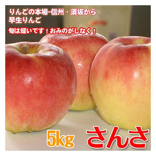 さんさ 5kg 早生 りんご 糖度13〜14%、酸度0.4%前後