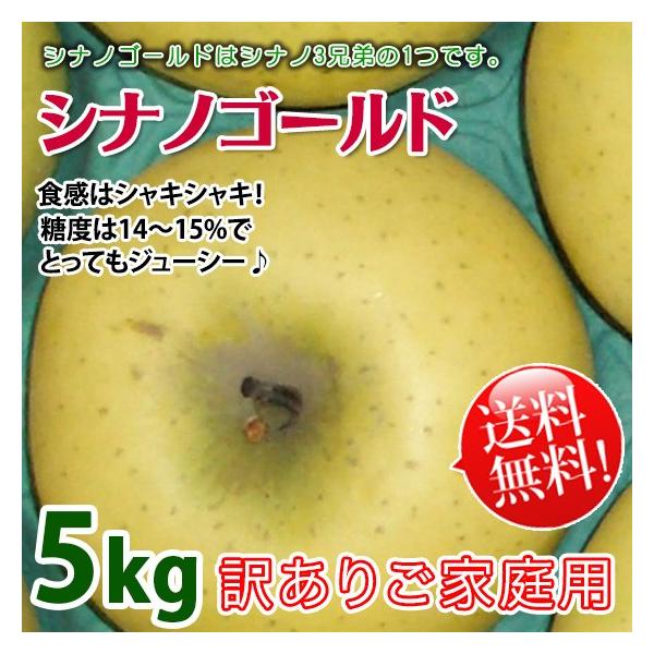 VimS[h 󂠂  쌧Y ƒp 5kg