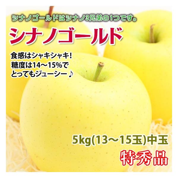 VimS[h  Mtg 쌧Y S G 5kg 13-15 