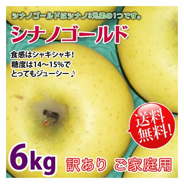 VimS[h 󂠂 6kg  쌧Y C^AłYn܂DGȃSł