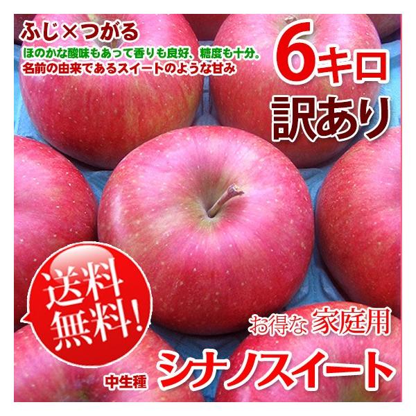 VimXC[g 쌧Y  󂠂   6kg ƒp