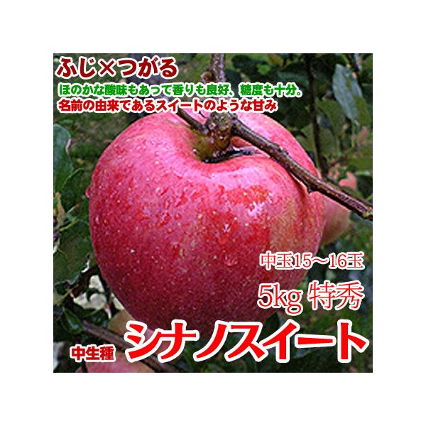 VimXC[g 쌧Y 5kg 13-15 G  傤ǂTCYI 