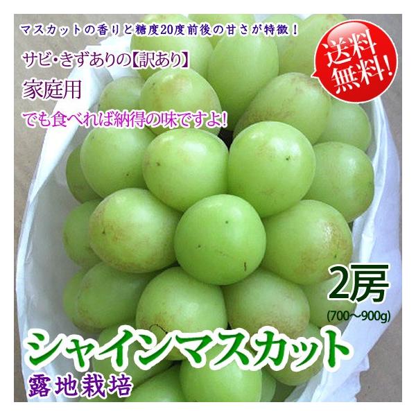 シャインマスカット家庭用特売 大容量家庭用訳ありシャインマスカット】約2.5㎏ 約6〜11房