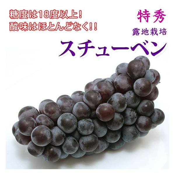 スチューベン ぶどう 4kg 特秀 ギフトに！ 甘く懐かしいぶどう♪