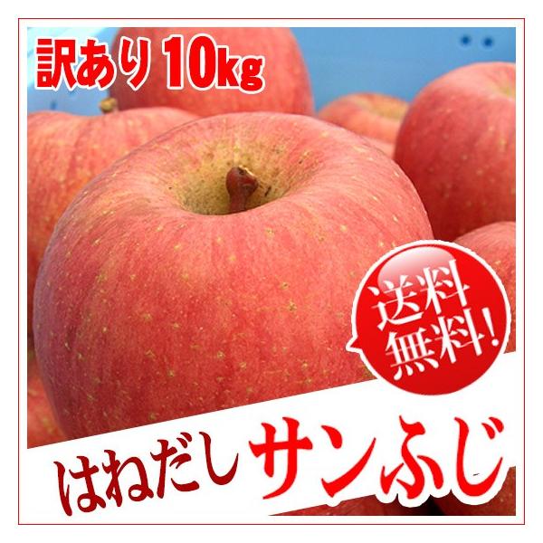 はねだしサンふじ リンゴ 約10kg 送料無料 長野りんご :sunfuji-hane10kg:くだもの屋 通販 