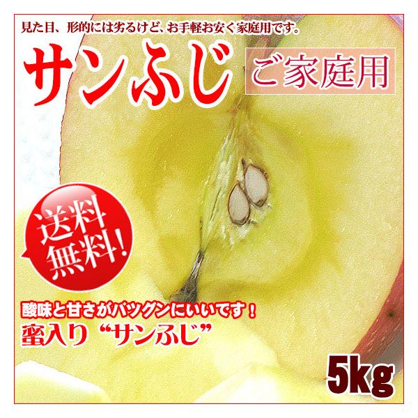 Tӂ     5kg 󂠂 LYTr ʍ S