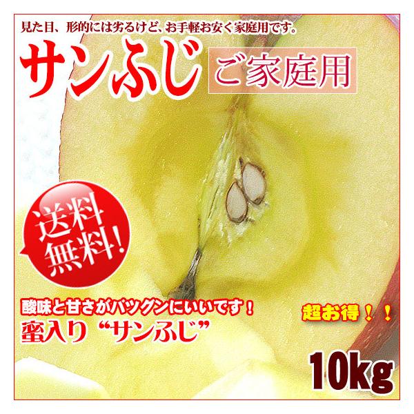 Tӂ     10kg 󂠂 LYTr ʍ S